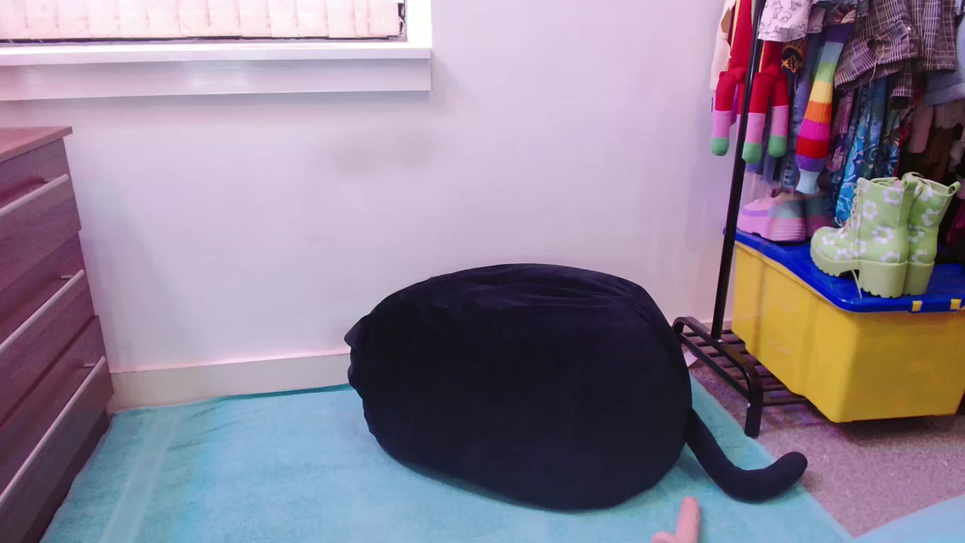 Gallery image thumbnail from Pixie_Snow's myfreecams stream on, 11/20/2024, 13:51 image 14 of 20