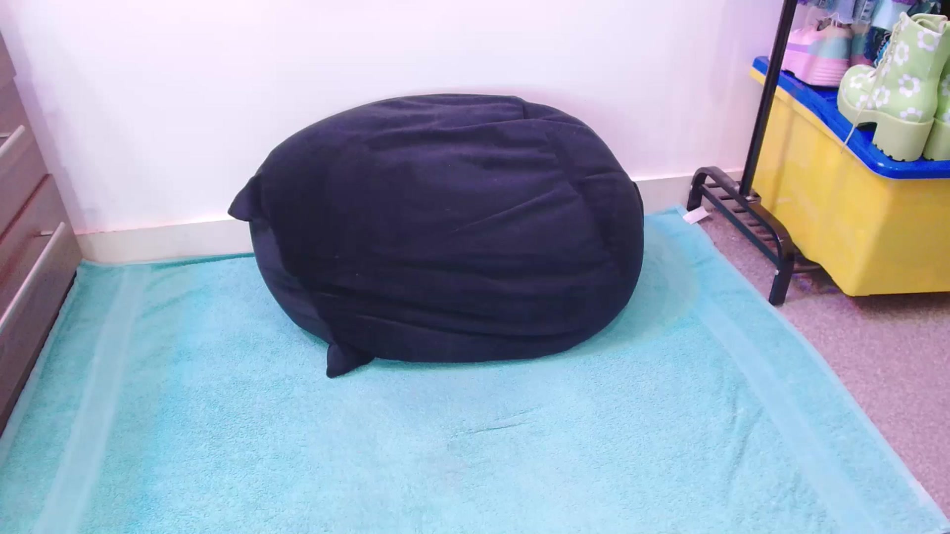 Gallery image thumbnail from Pixie_Snow's myfreecams stream on, 01/05/2025, 15:06 image 5 of 20