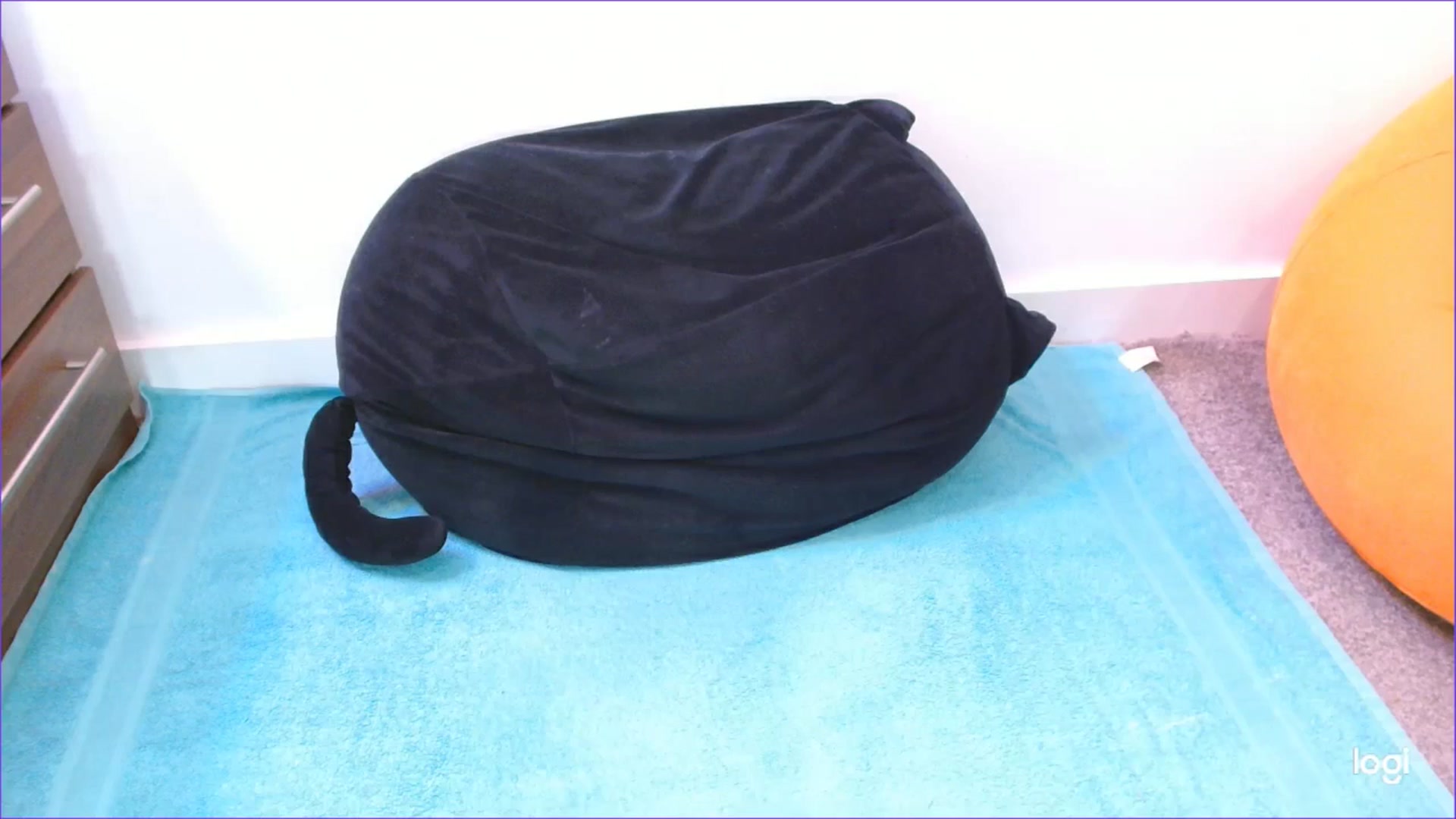 Gallery image thumbnail from Pixie_Snow's myfreecams stream on, 01/05/2026, 16:58 image 20 of 20