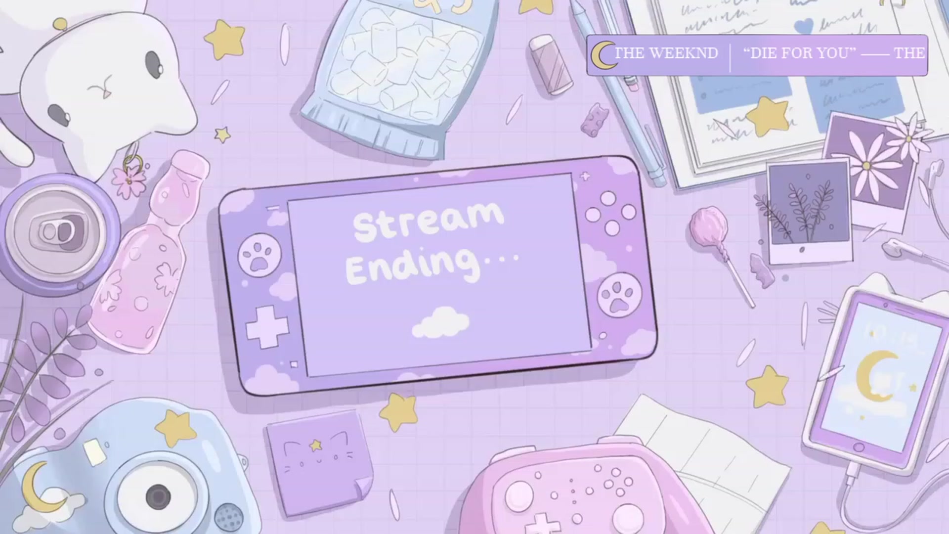 Gallery image thumbnail from PixieePetal's myfreecams stream on, 02/19/2023, 07:00 image 20 of 20
