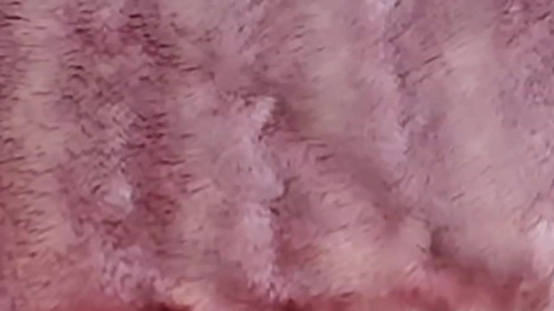 Gallery image thumbnail from Pixxie_x's myfreecams stream on, 05/29/2023, 08:47 image 10 of 20