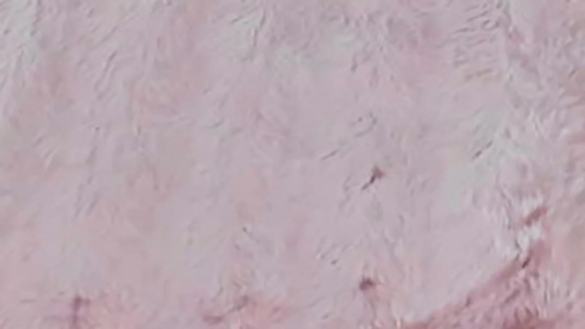 Gallery image thumbnail from Pixxie_x's myfreecams stream on, 06/01/2023, 10:05 image 2 of 20