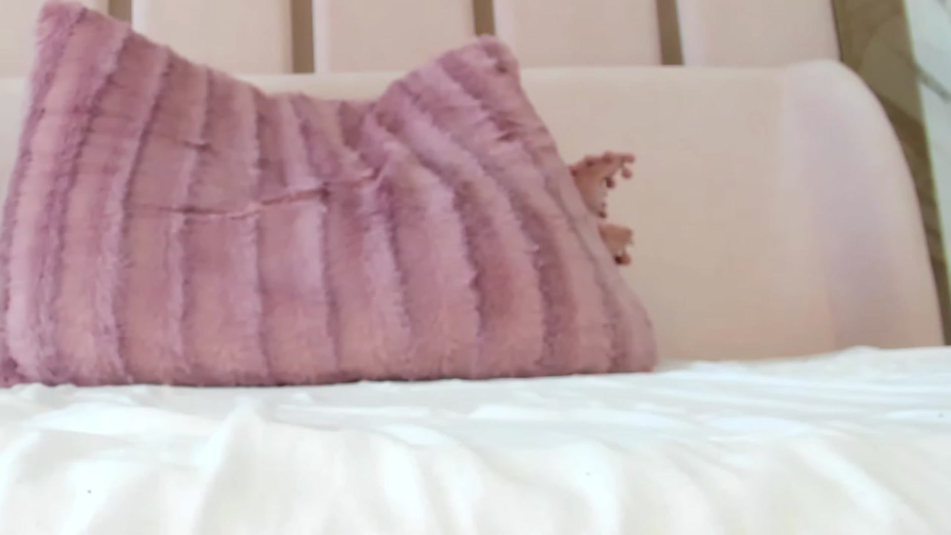 Gallery image thumbnail from Pixxie_x's myfreecams stream on, 08/04/2023, 08:44 image 8 of 20