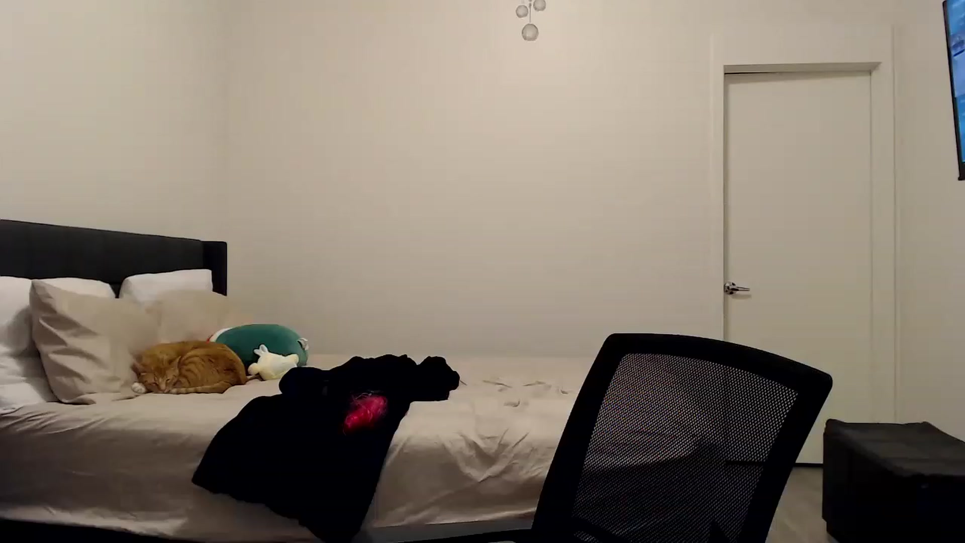 Gallery image thumbnail from Pixxxie's myfreecams stream on, 02/26/2023, 03:01 image 11 of 20