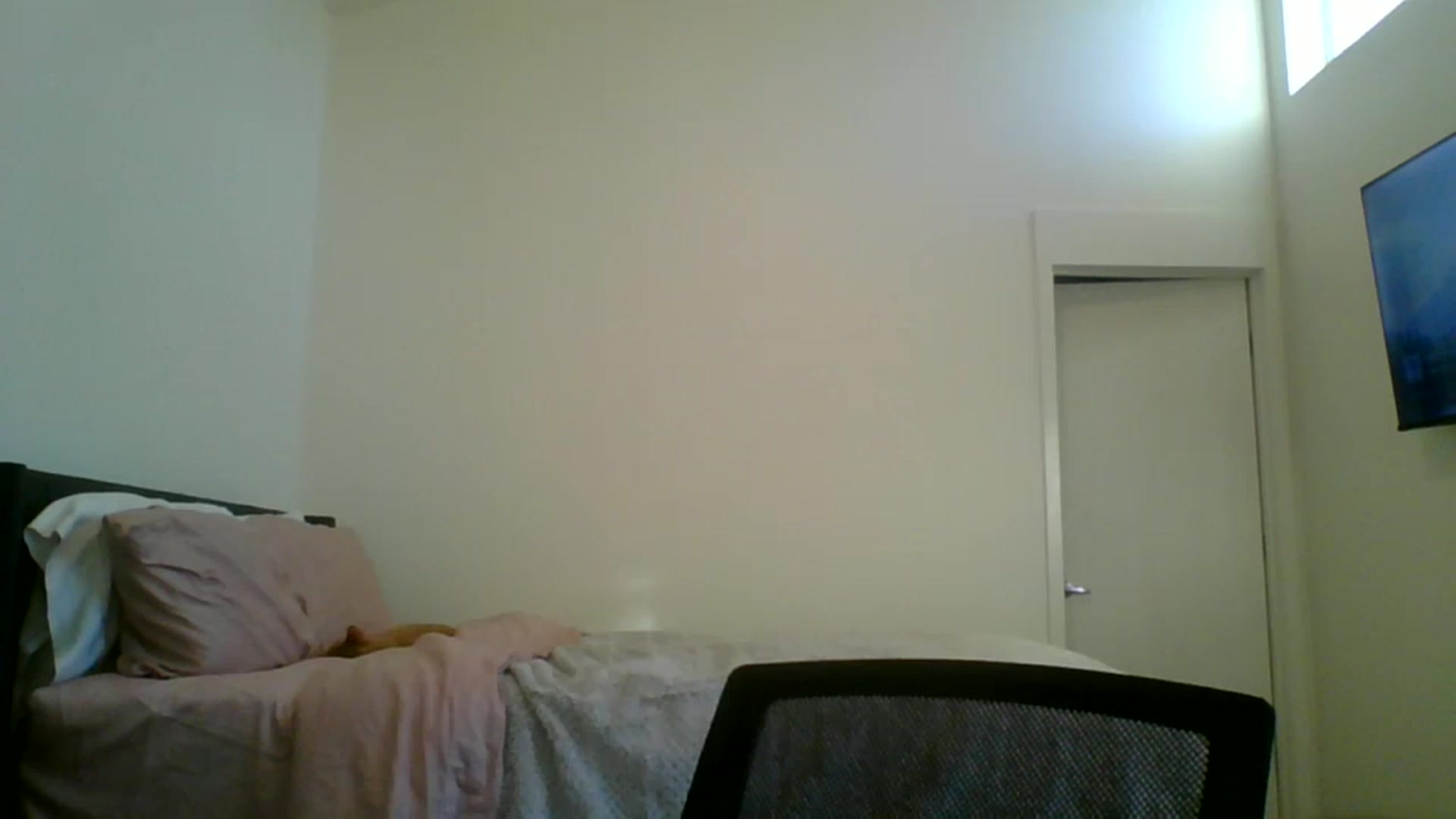 Gallery image thumbnail from Pixxxie's myfreecams stream on, 06/18/2023, 01:55 image 20 of 20