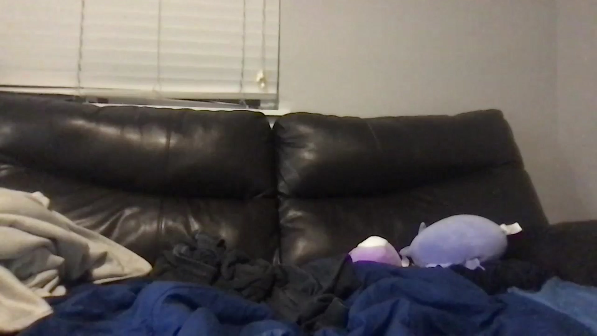 Gallery image thumbnail from PlanetBritney's myfreecams stream on, 08/19/2024, 06:16 image 3 of 20