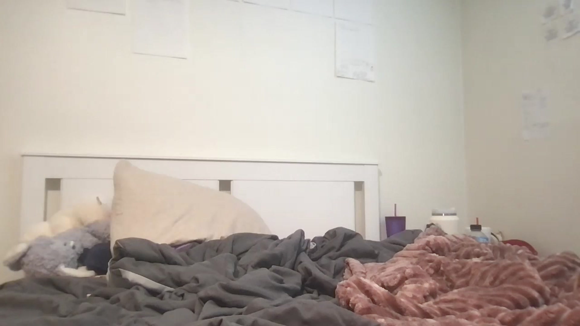 Gallery image thumbnail from PlanetBritney's myfreecams stream on, 08/23/2024, 19:15 image 11 of 20