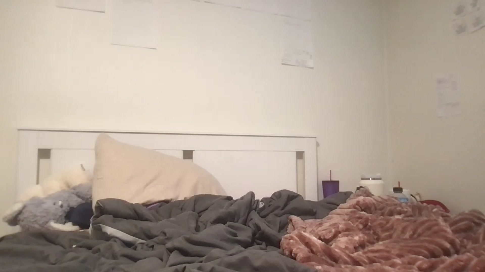 Gallery image thumbnail from PlanetBritney's myfreecams stream on, 08/23/2024, 19:15 image 10 of 20