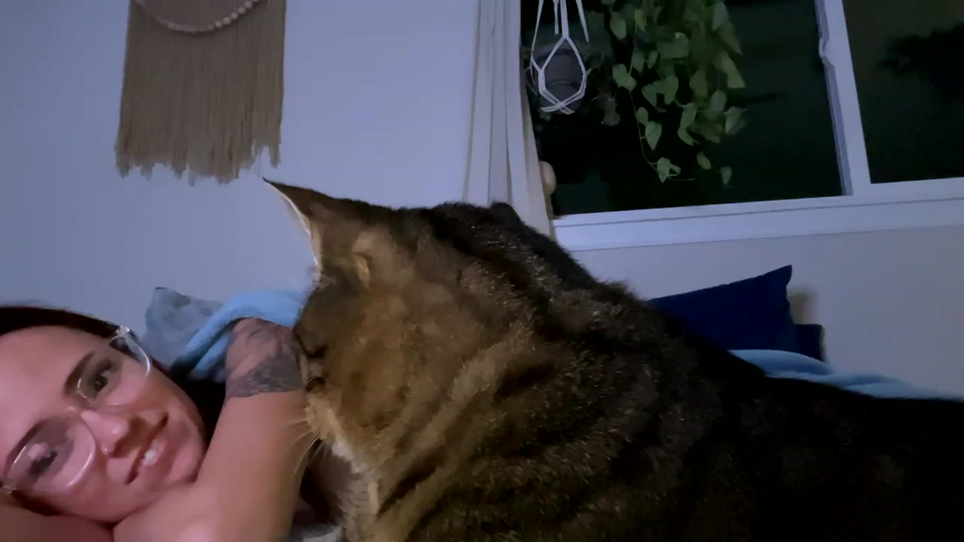 Gallery image thumbnail from Plantbabeee's myfreecams stream on, 06/12/2023, 05:04 image 16 of 20