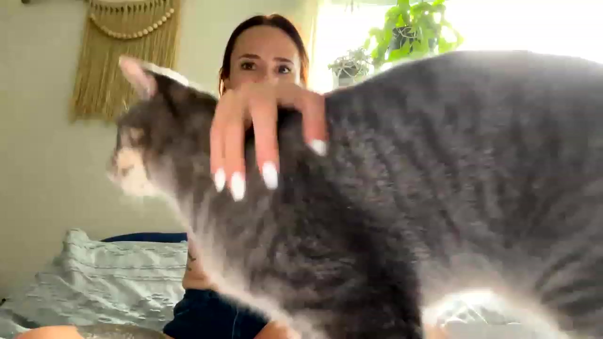Gallery image thumbnail from Plantbabeee's myfreecams stream on, 06/15/2023, 16:51 image 20 of 20