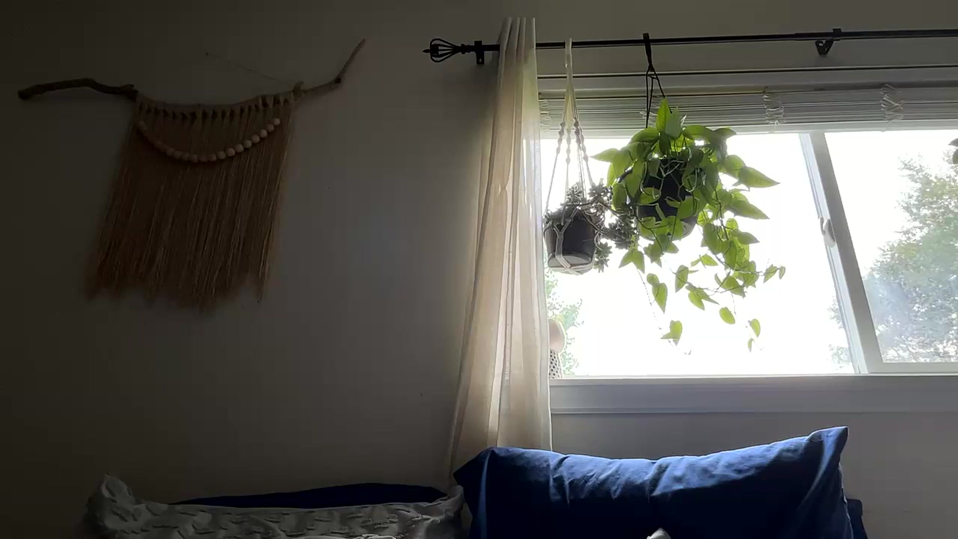 Gallery image thumbnail from Plantbabeee's myfreecams stream on, 06/30/2023, 18:38 image 16 of 20
