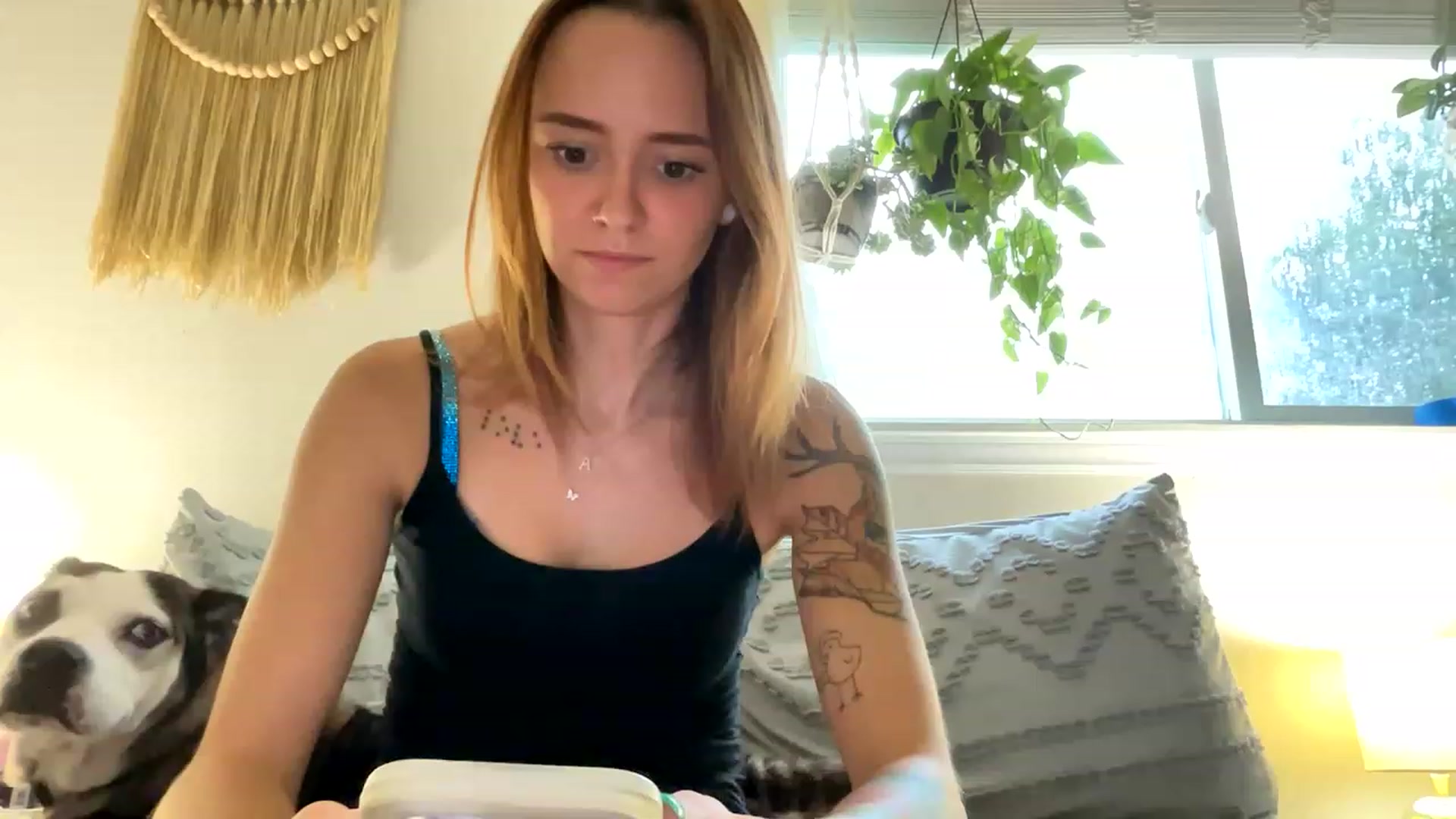 Gallery image thumbnail from Plantbabeee's myfreecams stream on, 07/14/2023, 17:06 image 6 of 20