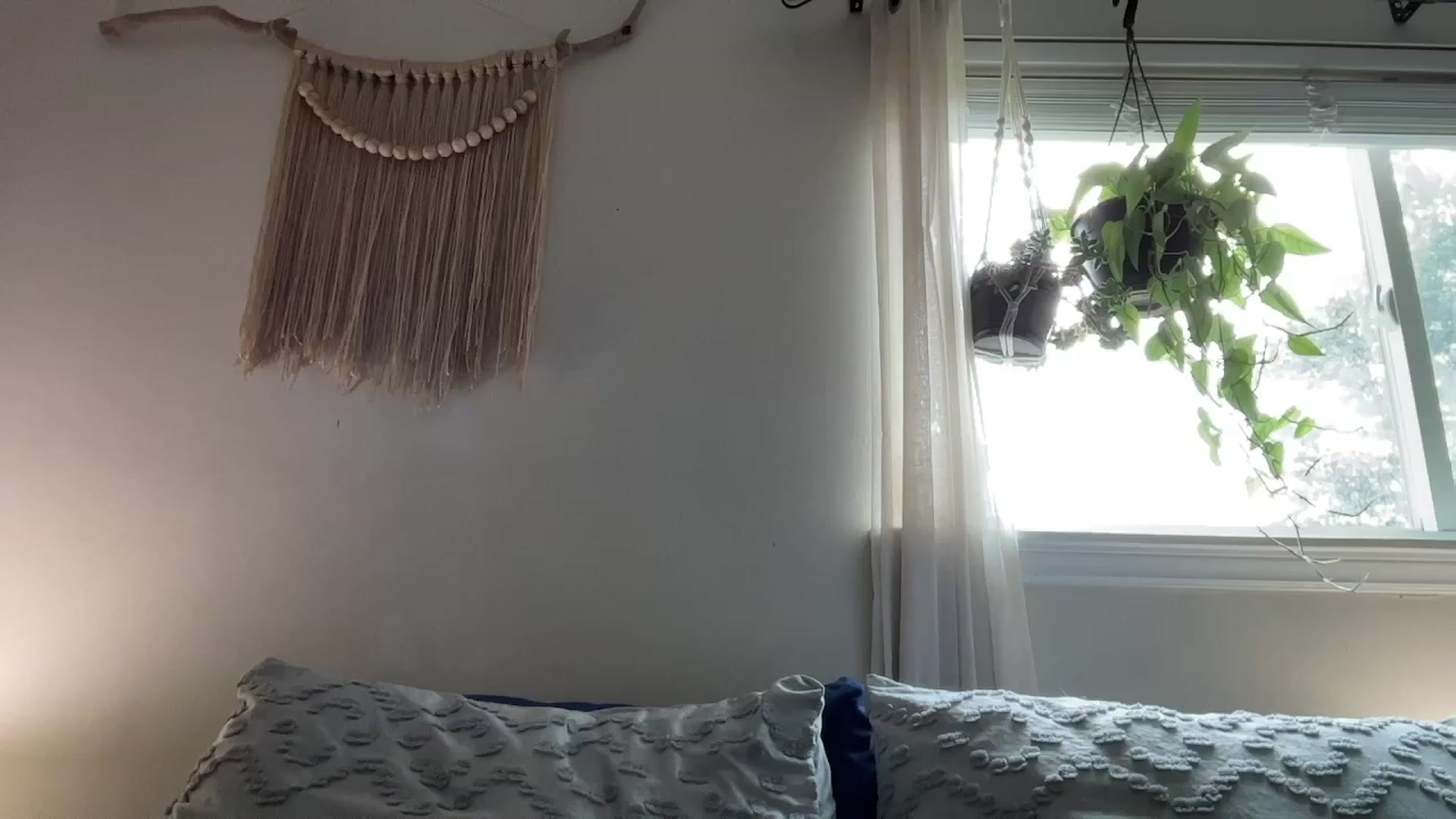 Gallery image thumbnail from Plantbabeee's myfreecams stream on, 07/25/2023, 18:53 image 13 of 20