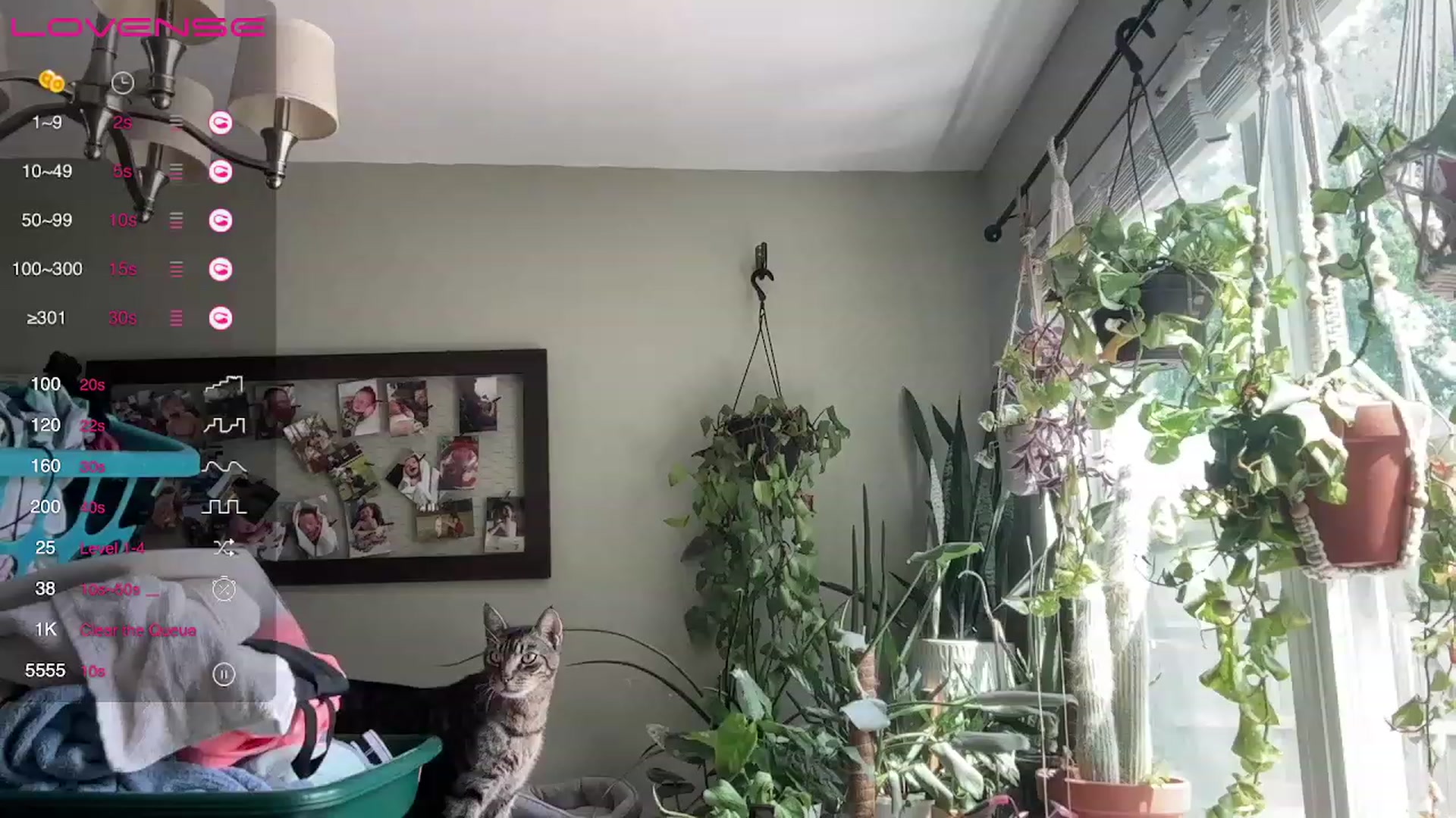 Gallery image thumbnail from Plantbabeee's myfreecams stream on, 08/11/2023, 19:59 image 12 of 20