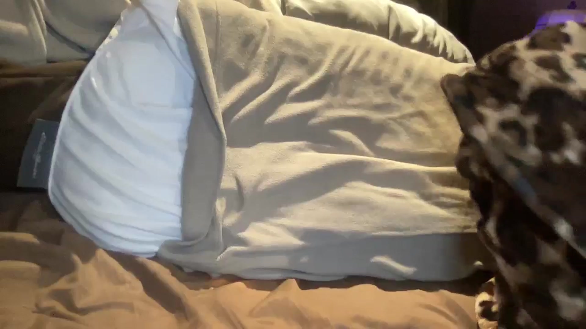 Gallery image thumbnail from PlayBoiBunnii's myfreecams stream on, 03/20/2025, 19:43 image 16 of 20