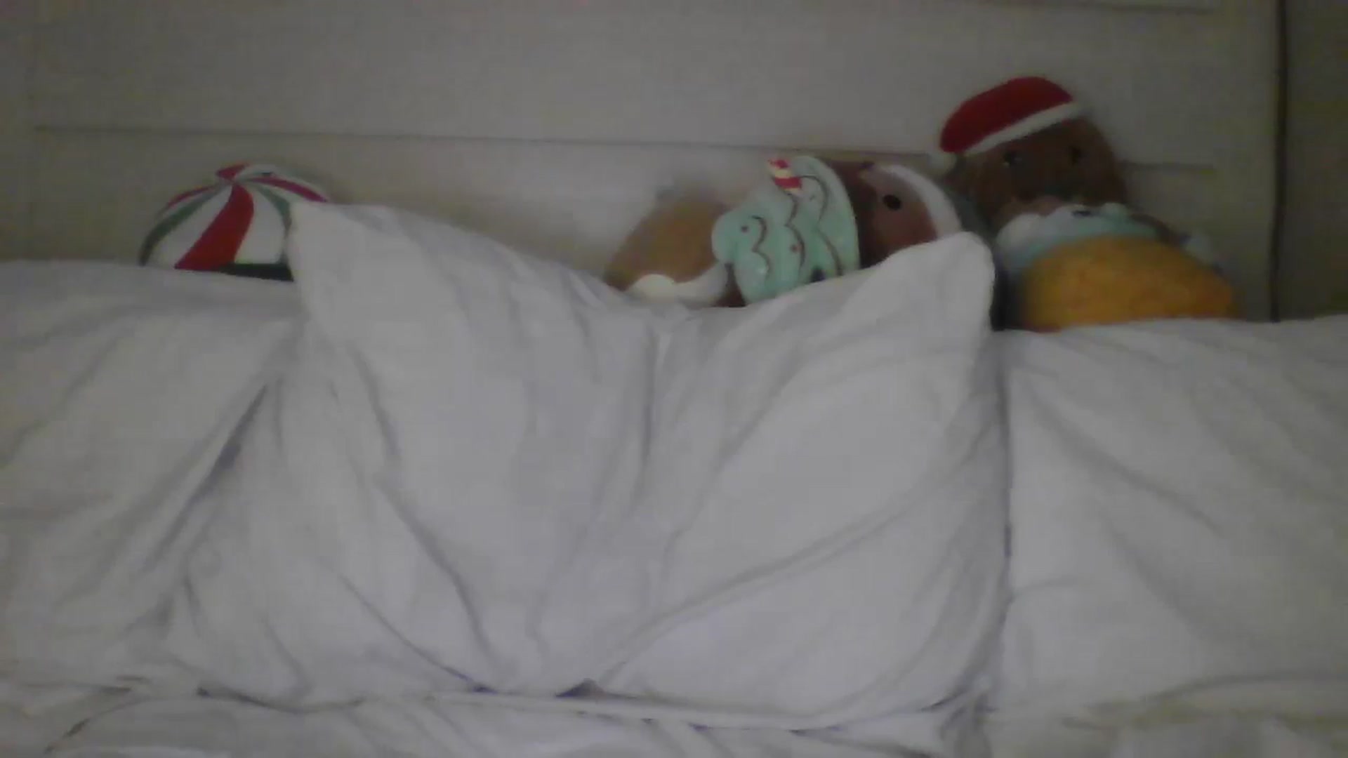 Gallery image thumbnail from PlaytimeKitty's myfreecams stream on, 12/24/2023, 20:02 image 14 of 20
