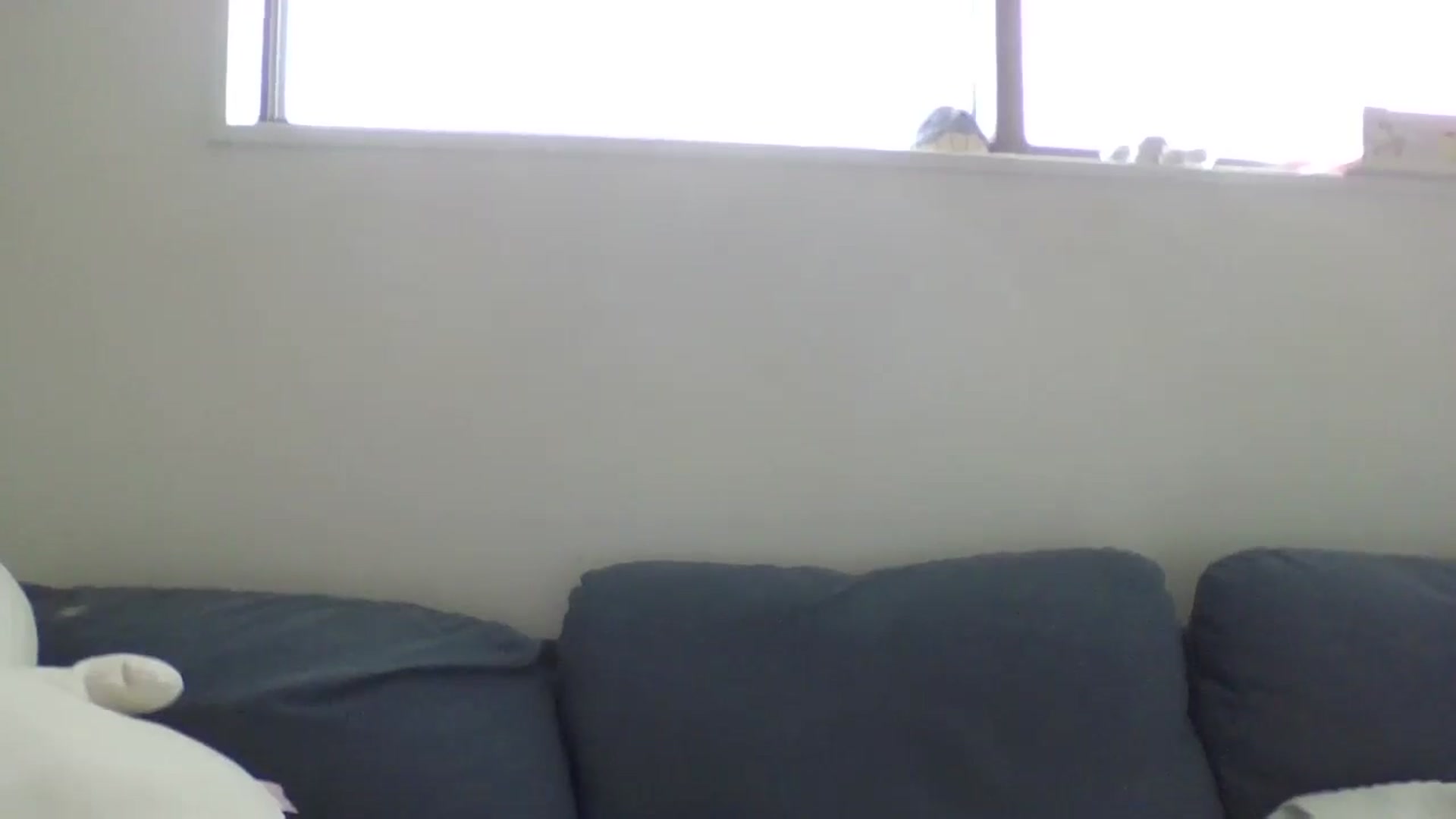Gallery image thumbnail from PlaytimeKitty's myfreecams stream on, 04/19/2026, 08:08 image 3 of 20