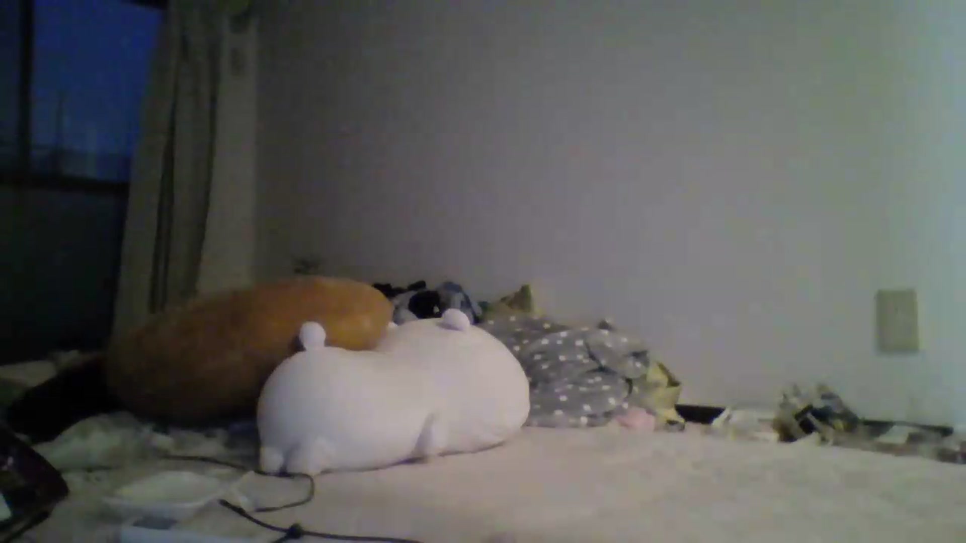 Gallery image thumbnail from PlaytimeKitty's myfreecams stream on, 06/02/2026, 11:23 image 2 of 20