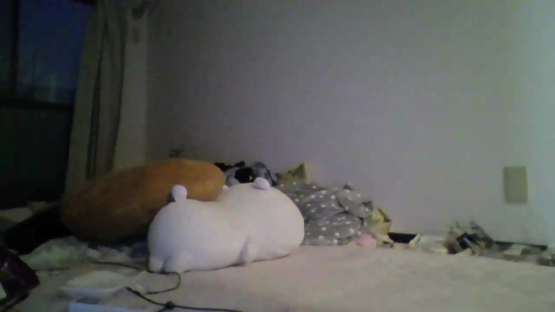 Gallery image thumbnail from PlaytimeKitty's myfreecams stream on, 06/02/2026, 11:23 image 3 of 20