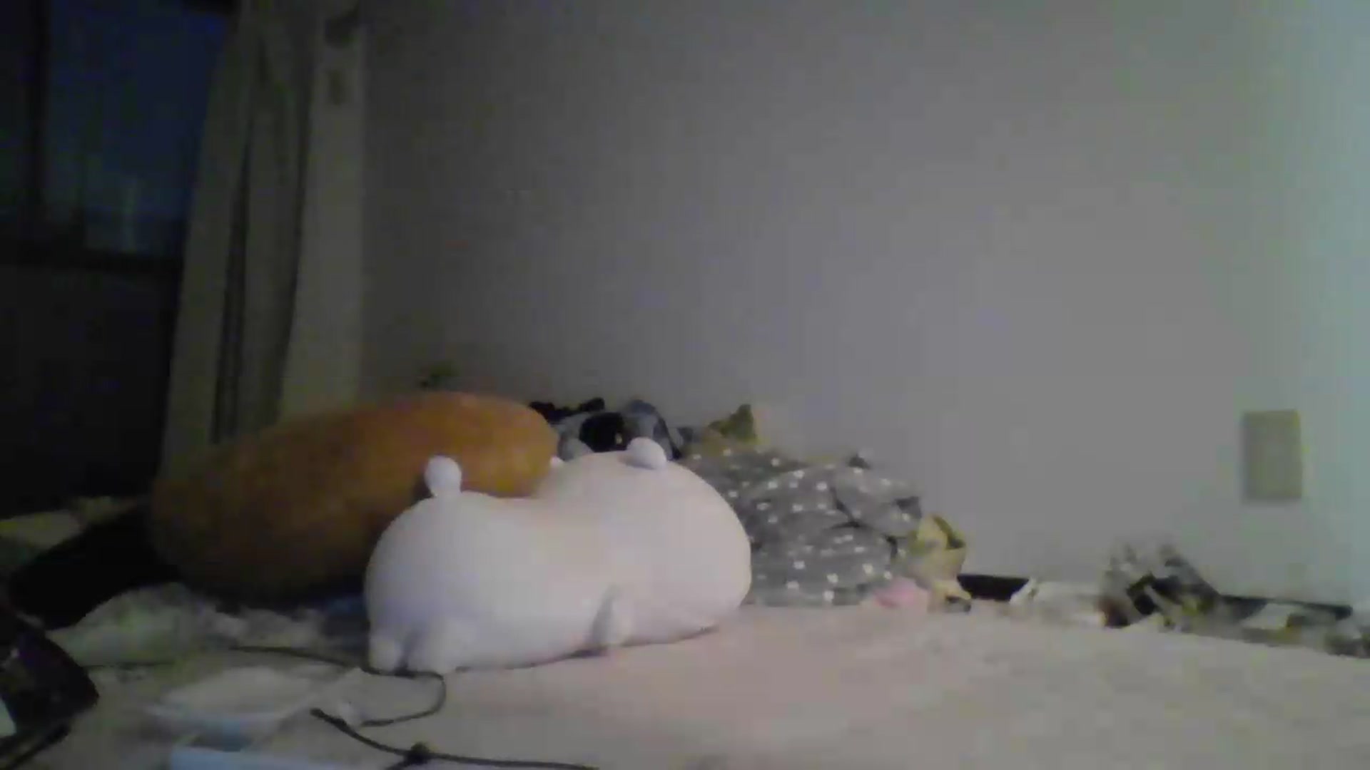Gallery image thumbnail from PlaytimeKitty's myfreecams stream on, 06/02/2026, 11:23 image 4 of 20