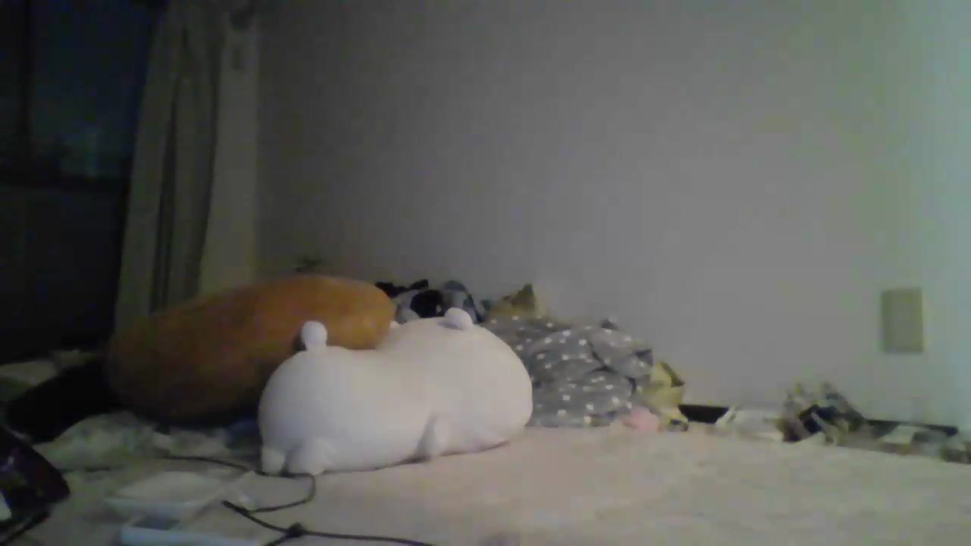 Gallery image thumbnail from PlaytimeKitty's myfreecams stream on, 06/02/2026, 11:23 image 6 of 20