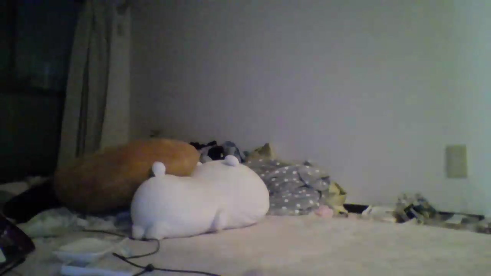 Gallery image thumbnail from PlaytimeKitty's myfreecams stream on, 06/02/2026, 11:23 image 7 of 20