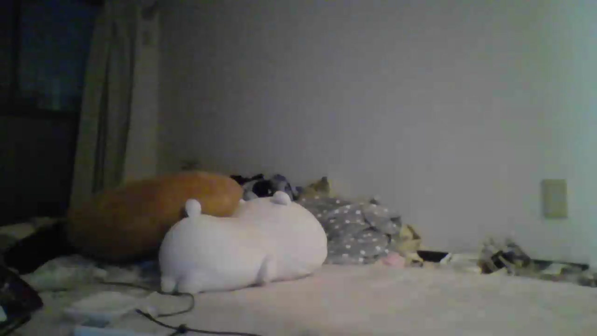 Gallery image thumbnail from PlaytimeKitty's myfreecams stream on, 06/02/2026, 11:23 image 5 of 20