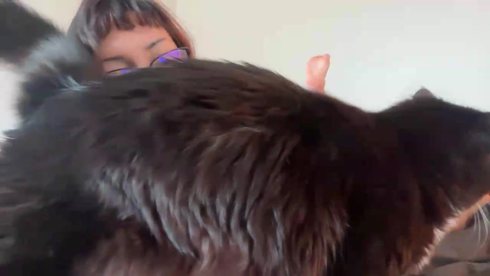 Gallery image thumbnail from PocketNikki's myfreecams stream on, 06/22/2026, 19:36 image 17 of 20