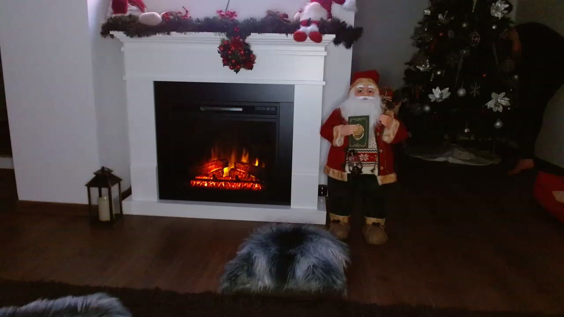 Gallery image thumbnail from Poison_Rose_'s myfreecams stream on, 12/20/2022, 16:32 image 12 of 20
