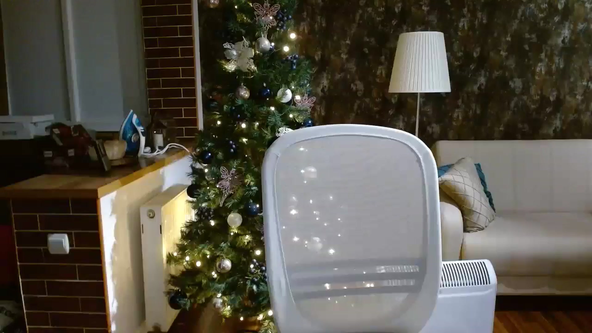 Gallery image thumbnail from Poison_Rose_'s myfreecams stream on, 12/25/2023, 23:40 image 11 of 20