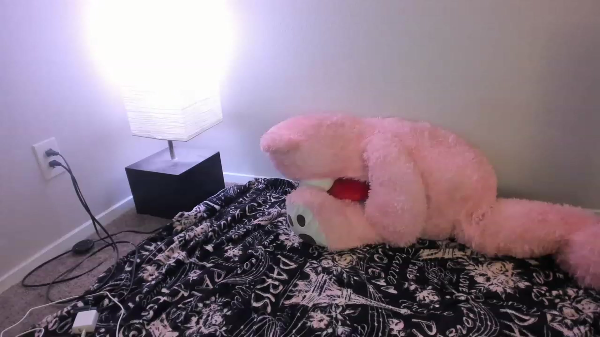 Gallery image thumbnail from PokeAPuss's myfreecams stream on, 02/19/2023, 14:09 image 19 of 20