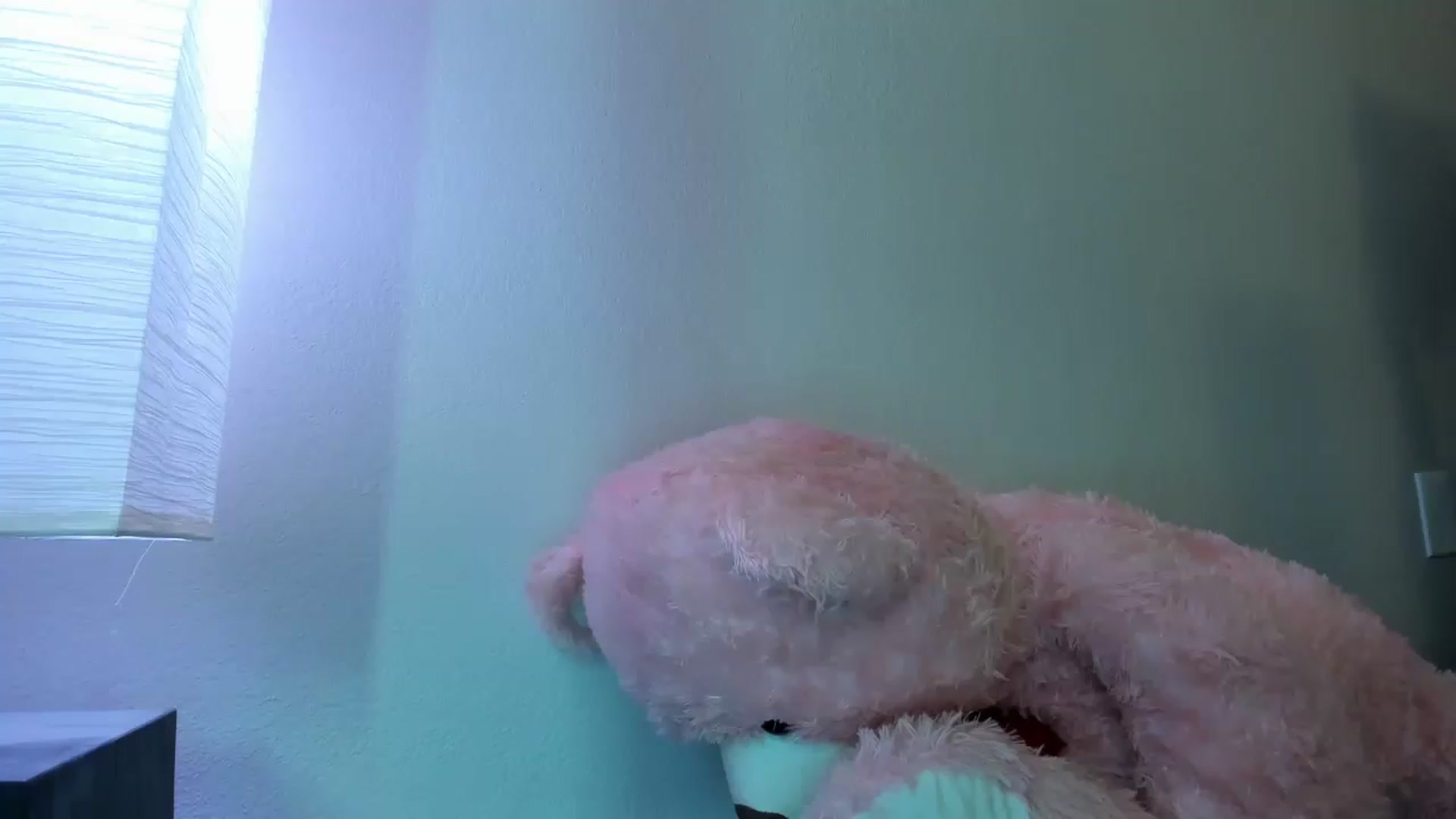 Gallery image thumbnail from PokeAPuss's myfreecams stream on, 02/19/2023, 15:01 image 15 of 20