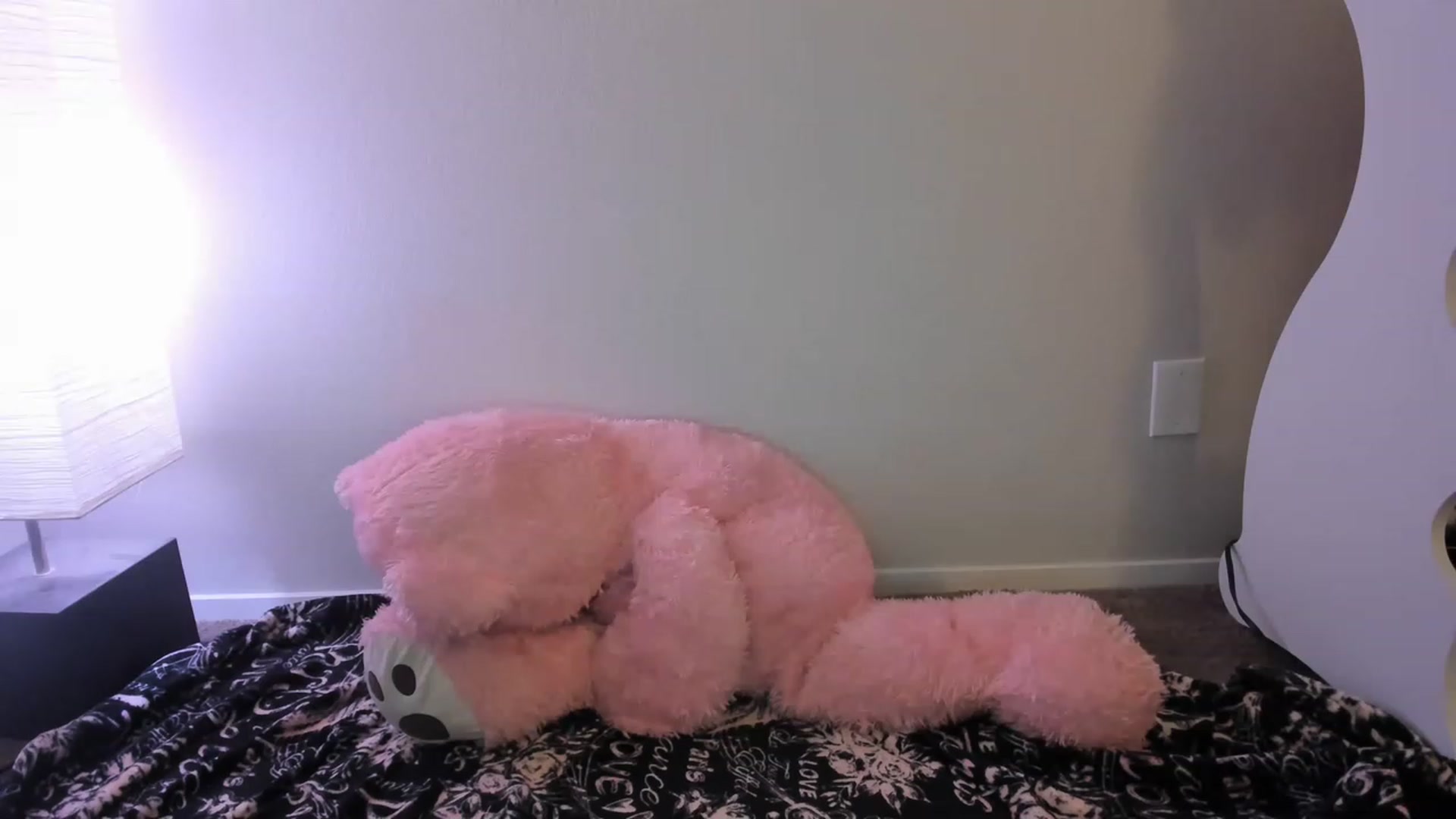 Gallery image thumbnail from PokeAPuss's myfreecams stream on, 02/24/2023, 14:43 image 16 of 20