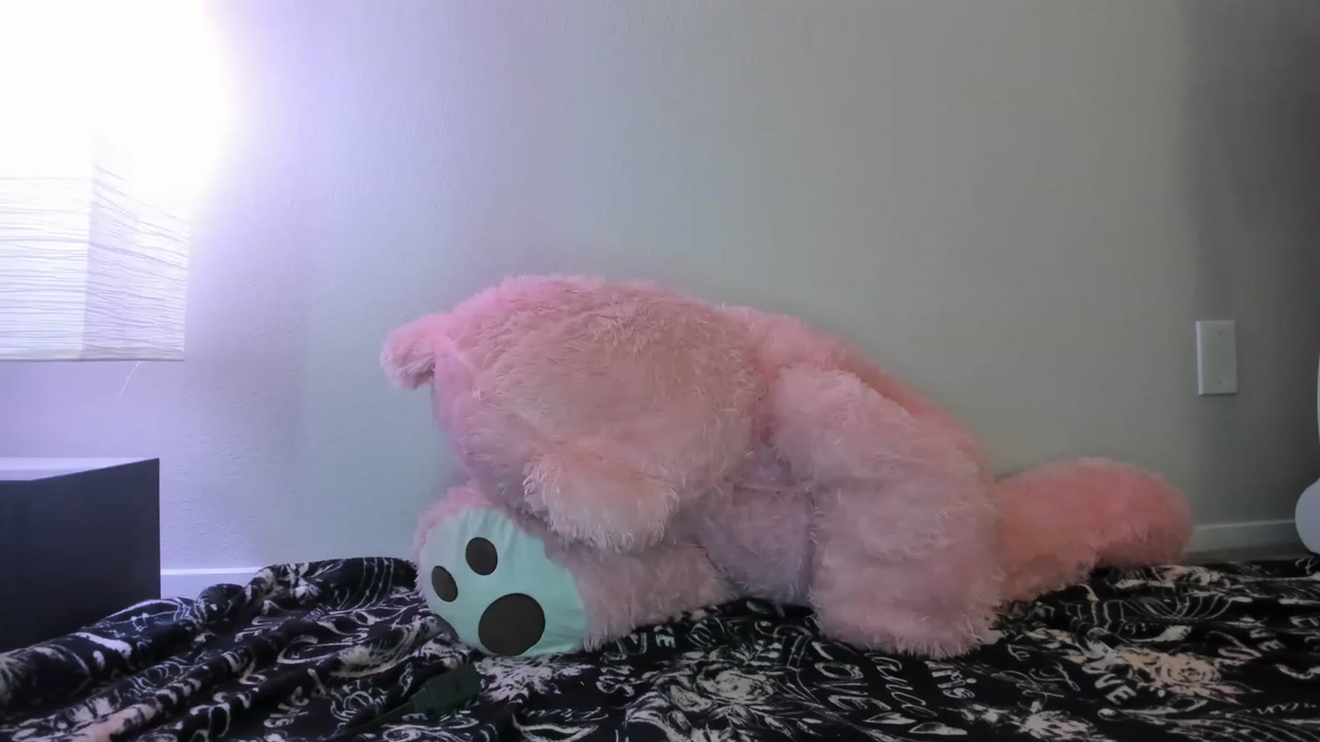 Gallery image thumbnail from PokeAPuss's myfreecams stream on, 02/28/2023, 14:57 image 13 of 20