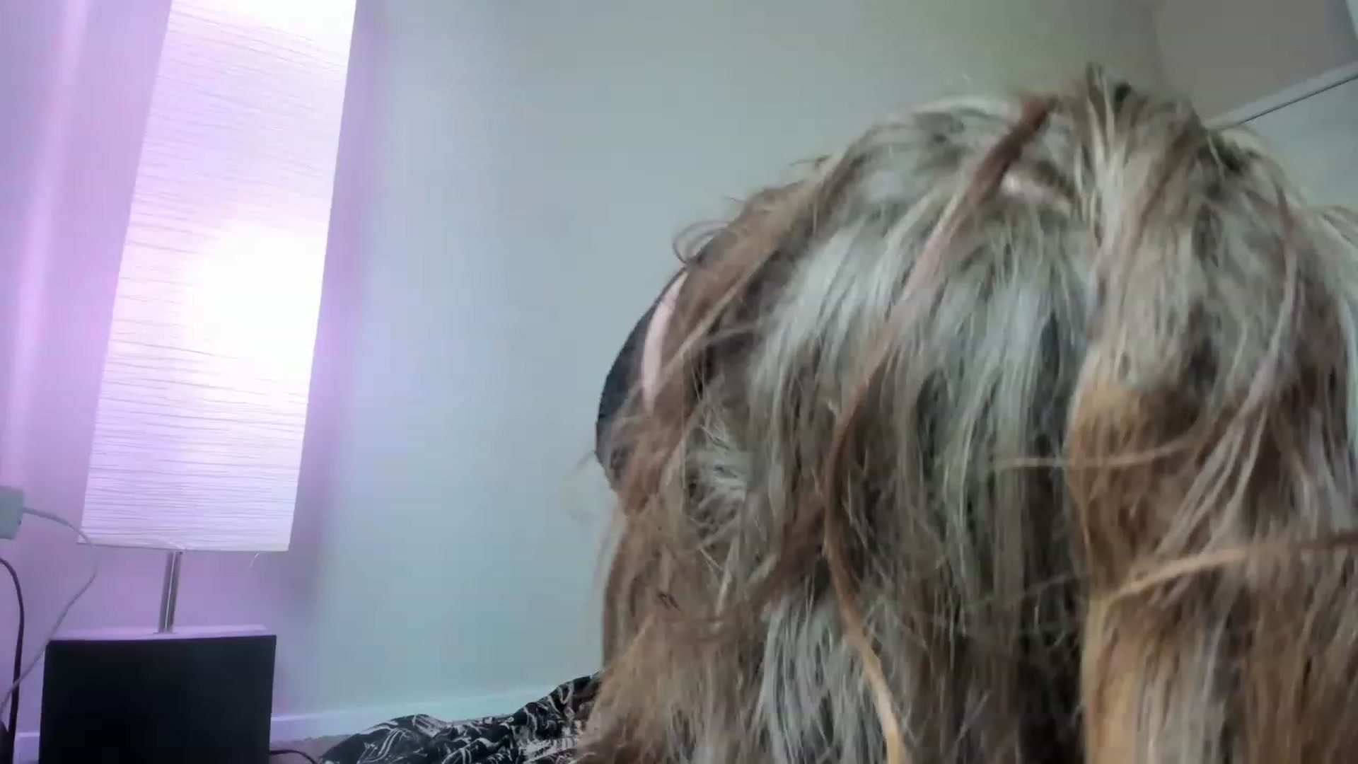 Gallery image thumbnail from PokeAPuss's myfreecams stream on, 03/01/2023, 18:12 image 1 of 20