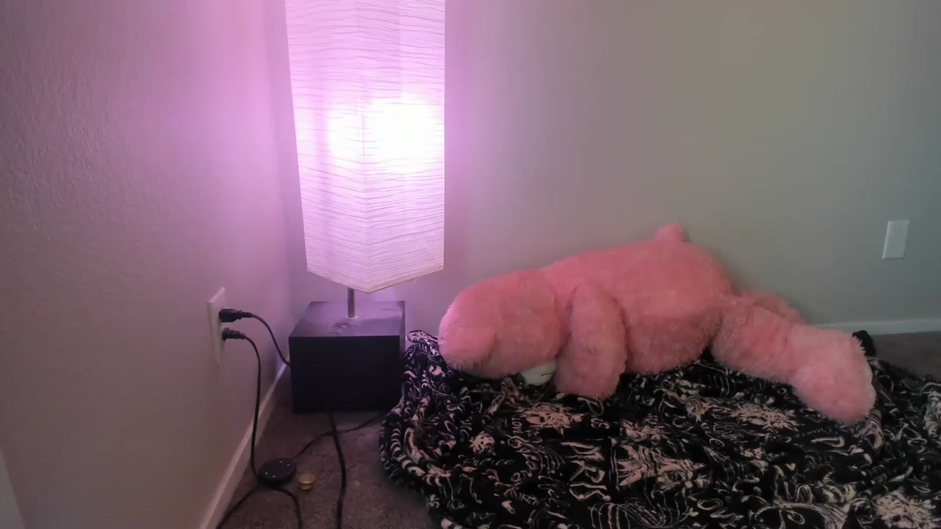 Gallery image thumbnail from PokeAPuss's myfreecams stream on, 03/23/2023, 02:08 image 2 of 20