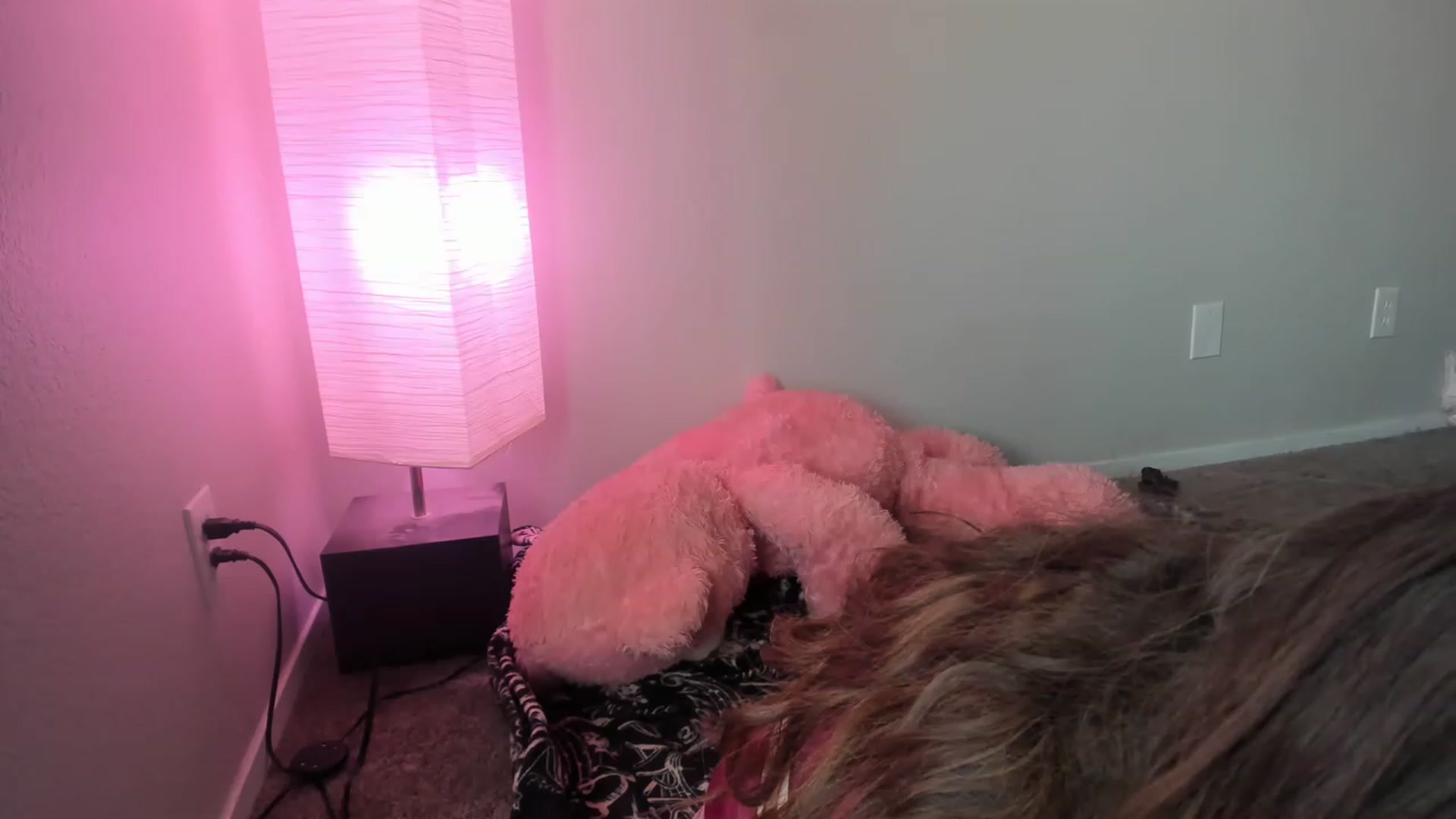 Gallery image thumbnail from PokeAPuss's myfreecams stream on, 04/02/2023, 02:18 image 15 of 20