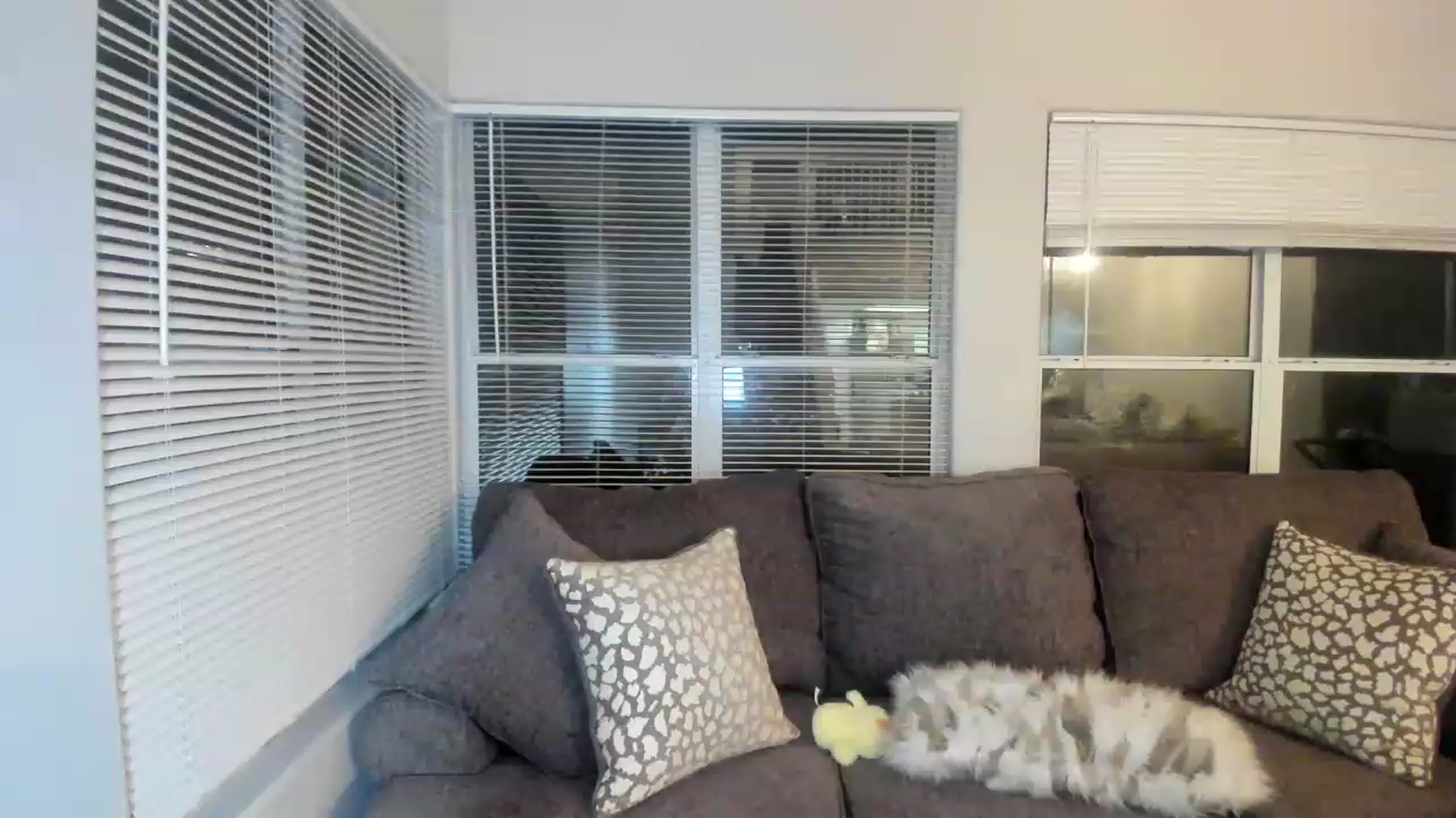 Gallery image thumbnail from PokeAPuss's myfreecams stream on, 04/12/2023, 03:53 image 13 of 20