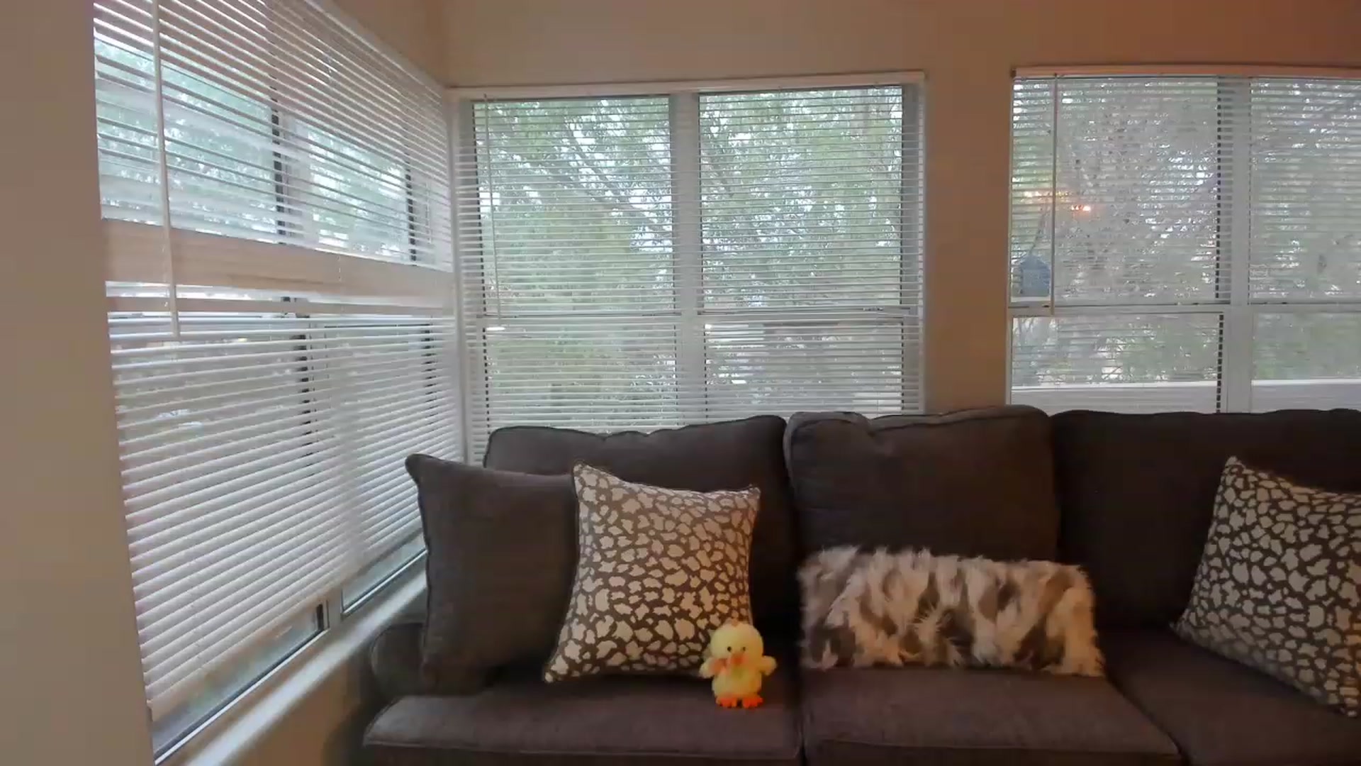 Gallery image thumbnail from PokeAPuss's myfreecams stream on, 04/13/2023, 02:24 image 16 of 20