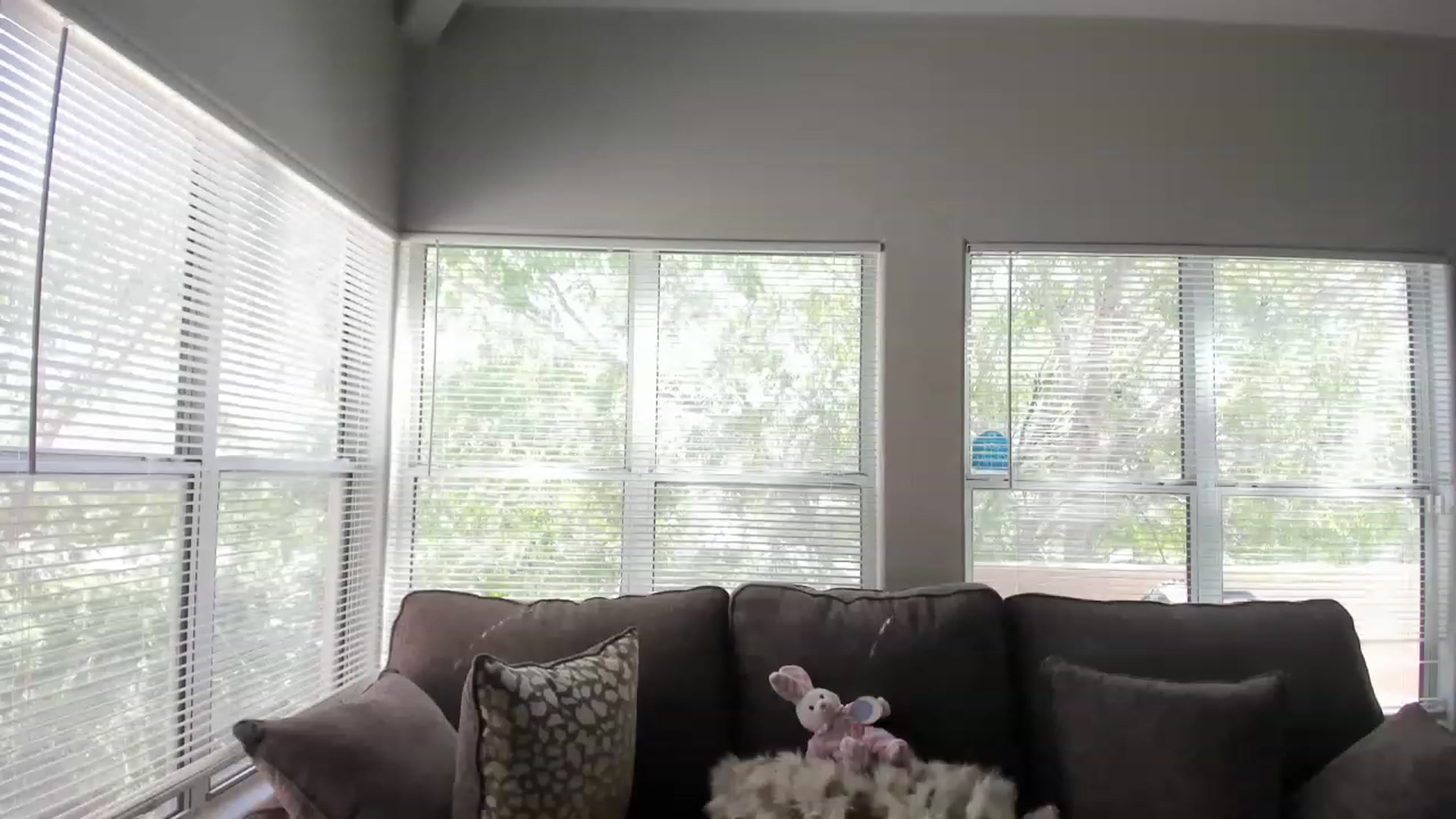 Gallery image thumbnail from PokeAPuss's myfreecams stream on, 04/18/2023, 18:22 image 7 of 20