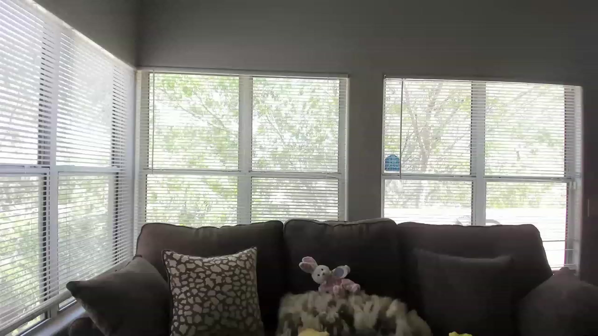 Gallery image thumbnail from PokeAPuss's myfreecams stream on, 04/18/2023, 21:08 image 4 of 20