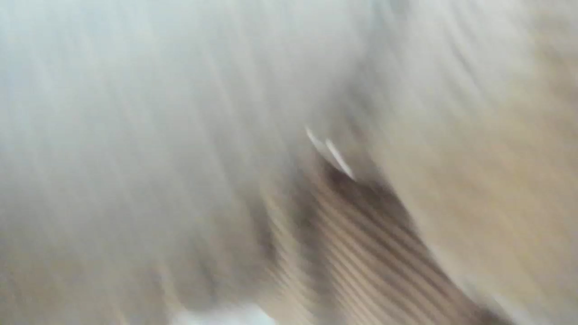 Gallery image thumbnail from PokeAPuss's myfreecams stream on, 04/18/2023, 21:08 image 2 of 20