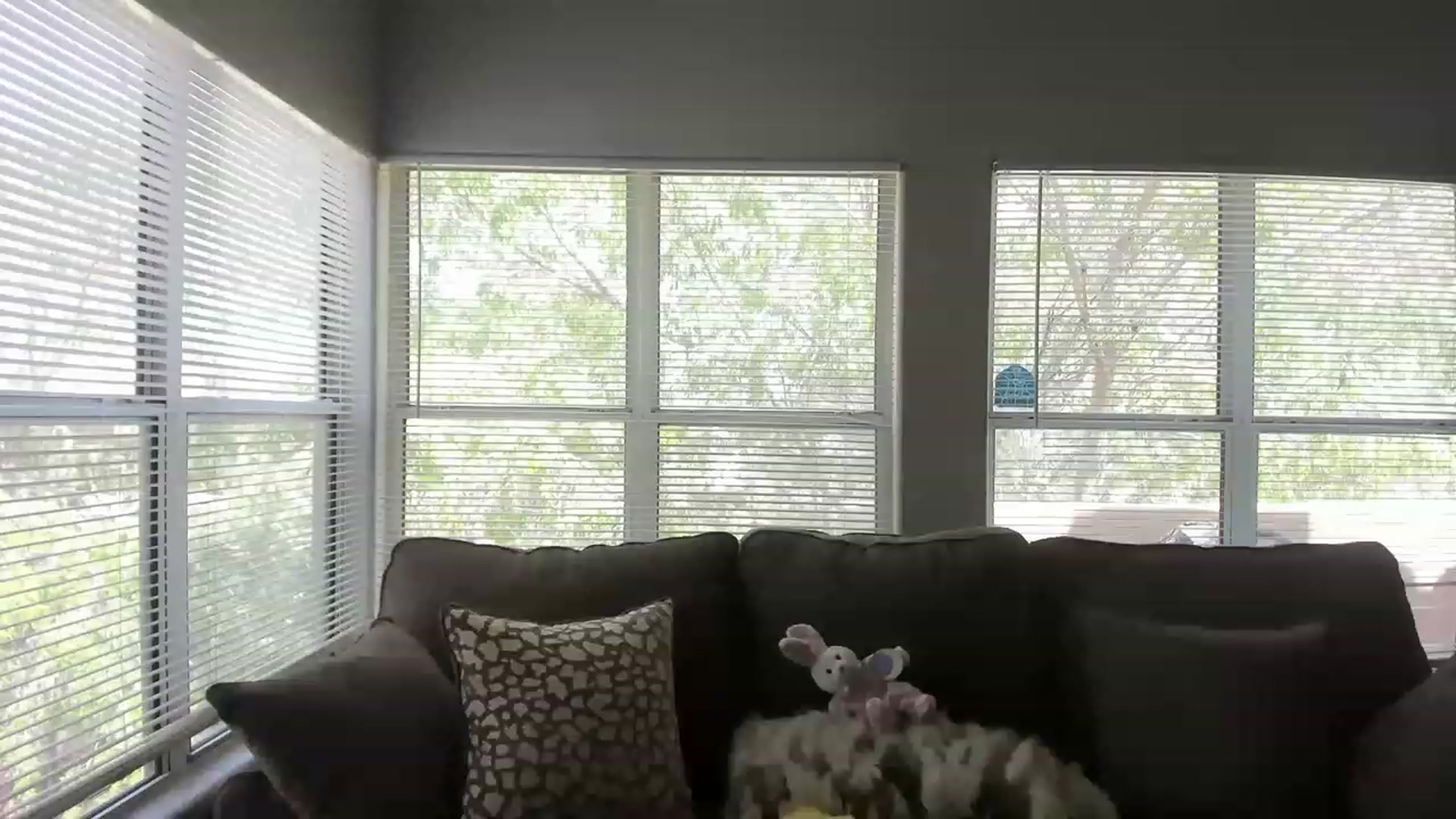 Gallery image thumbnail from PokeAPuss's myfreecams stream on, 04/18/2023, 21:08 image 15 of 20