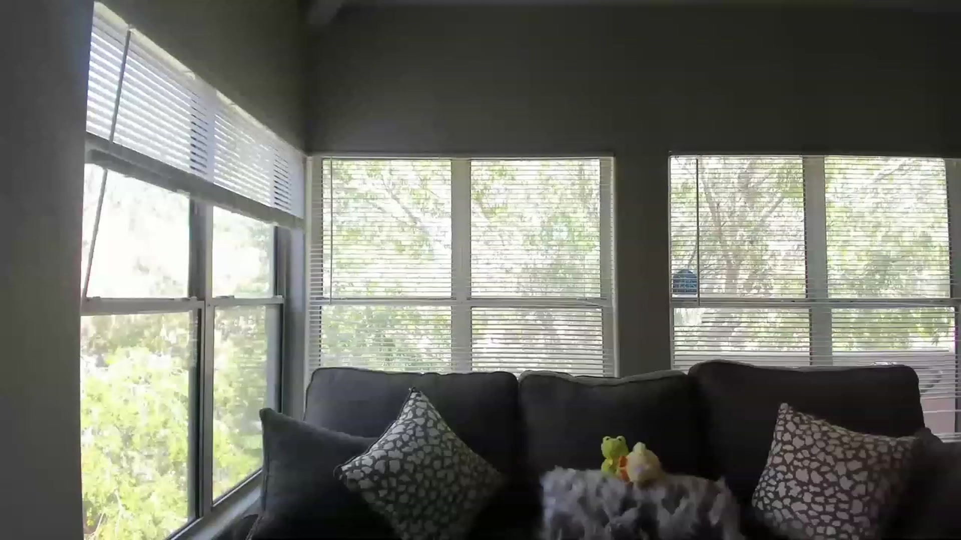 Gallery image thumbnail from PokeAPuss's myfreecams stream on, 05/11/2023, 22:06 image 15 of 20