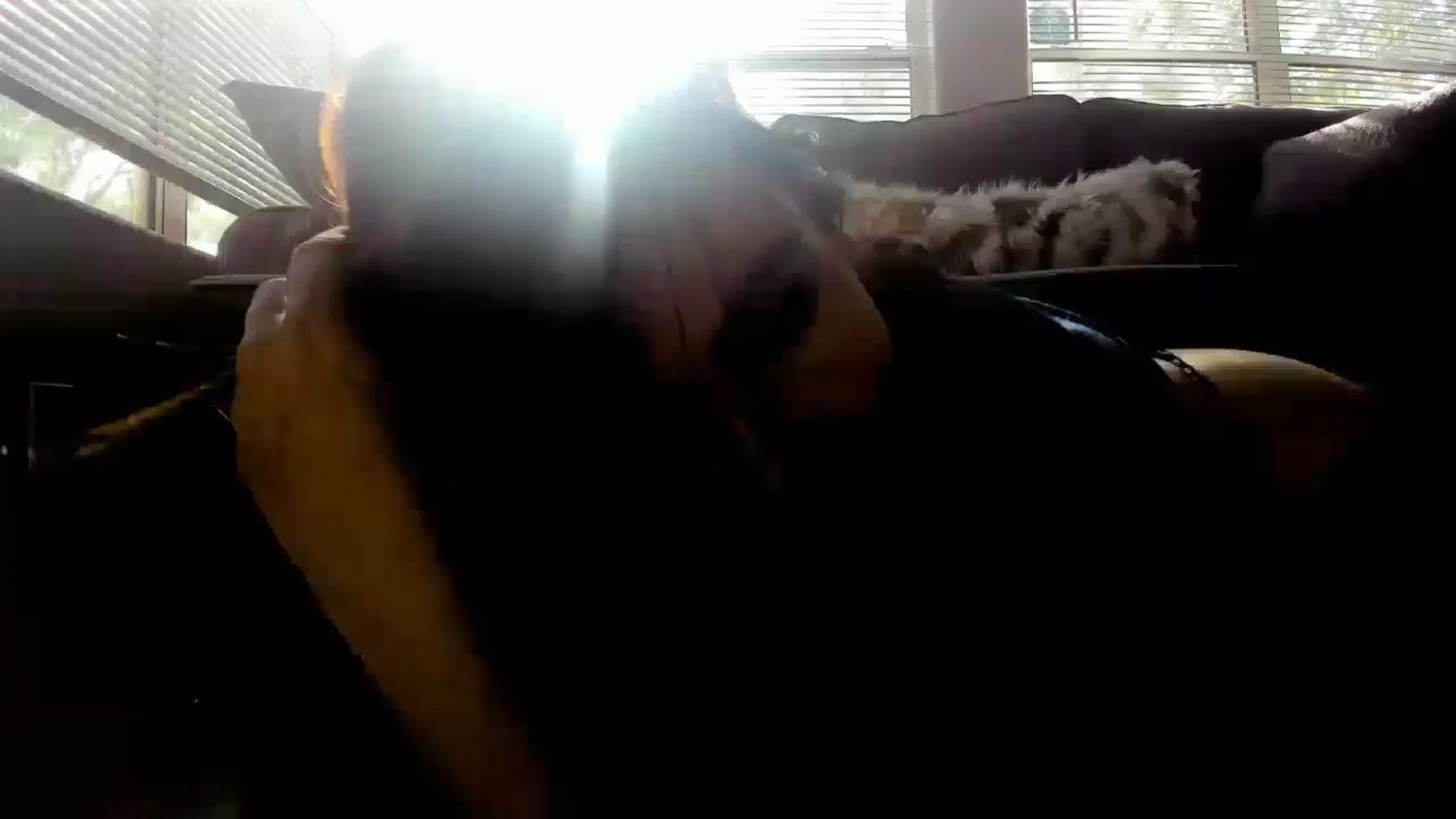Gallery image thumbnail from PokeAPuss's myfreecams stream on, 05/28/2023, 15:19 image 16 of 20