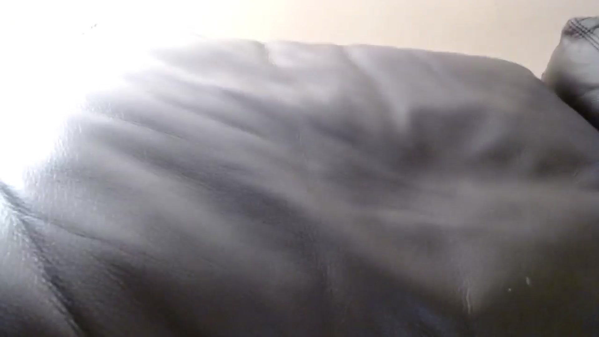 Gallery image thumbnail from PokeAPuss's myfreecams stream on, 10/20/2024, 03:32 image 12 of 20