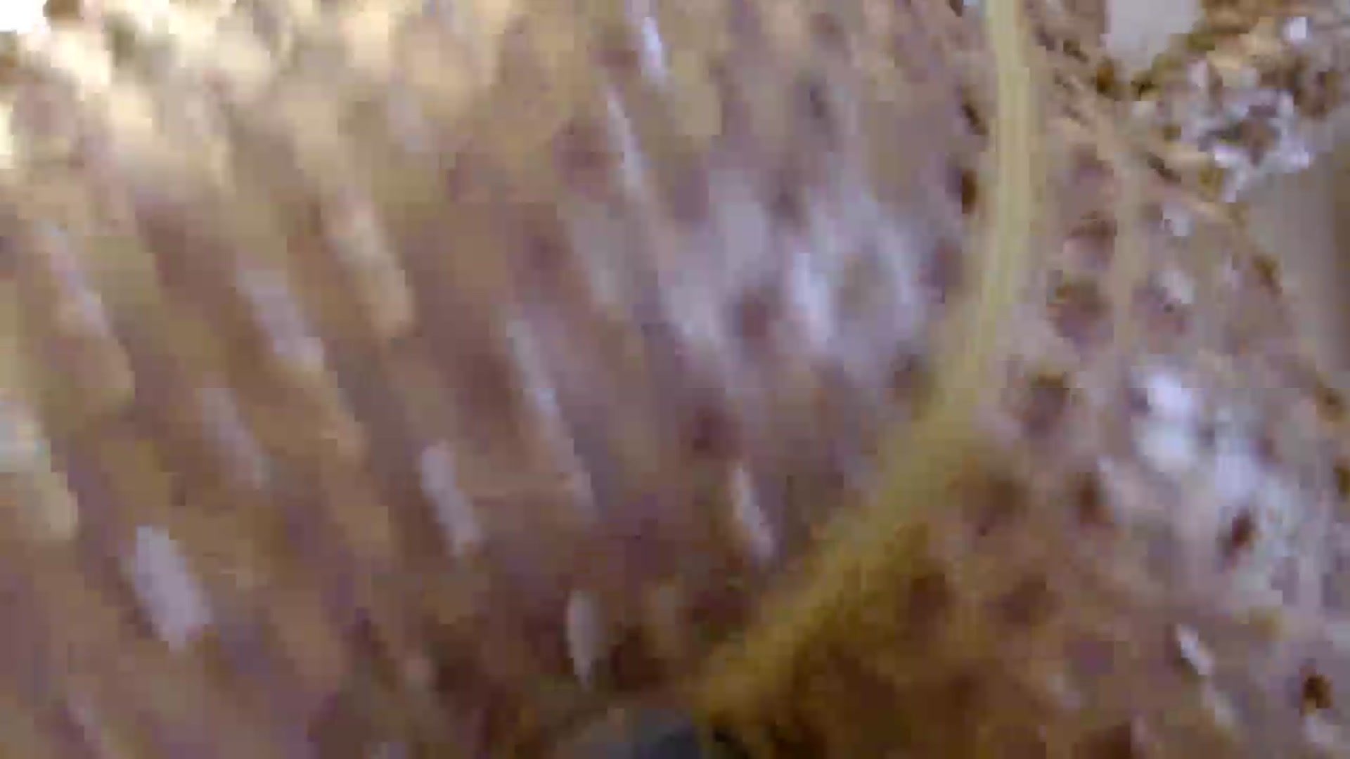 Gallery image thumbnail from PokeAPuss's myfreecams stream on, 10/20/2024, 03:32 image 19 of 20