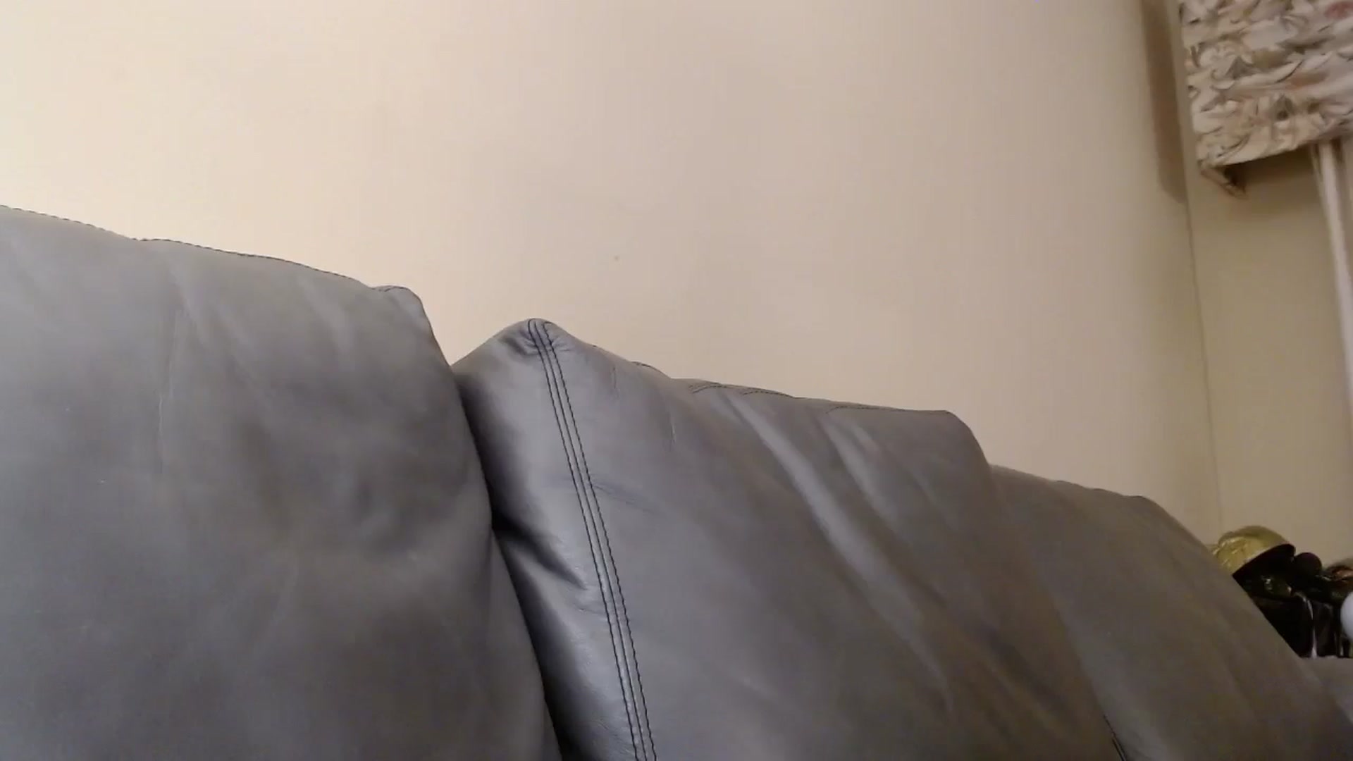 Gallery image thumbnail from PokeAPuss's myfreecams stream on, 11/26/2024, 04:41 image 3 of 20