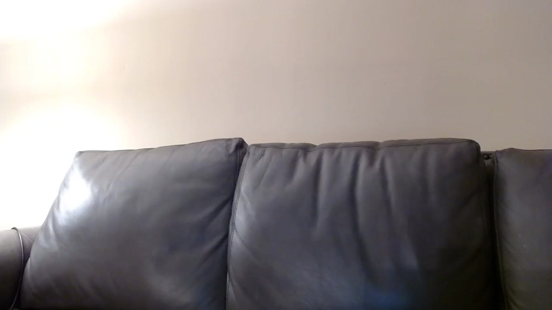 Gallery image thumbnail from PokeAPuss's myfreecams stream on, 12/01/2024, 12:43 image 3 of 20