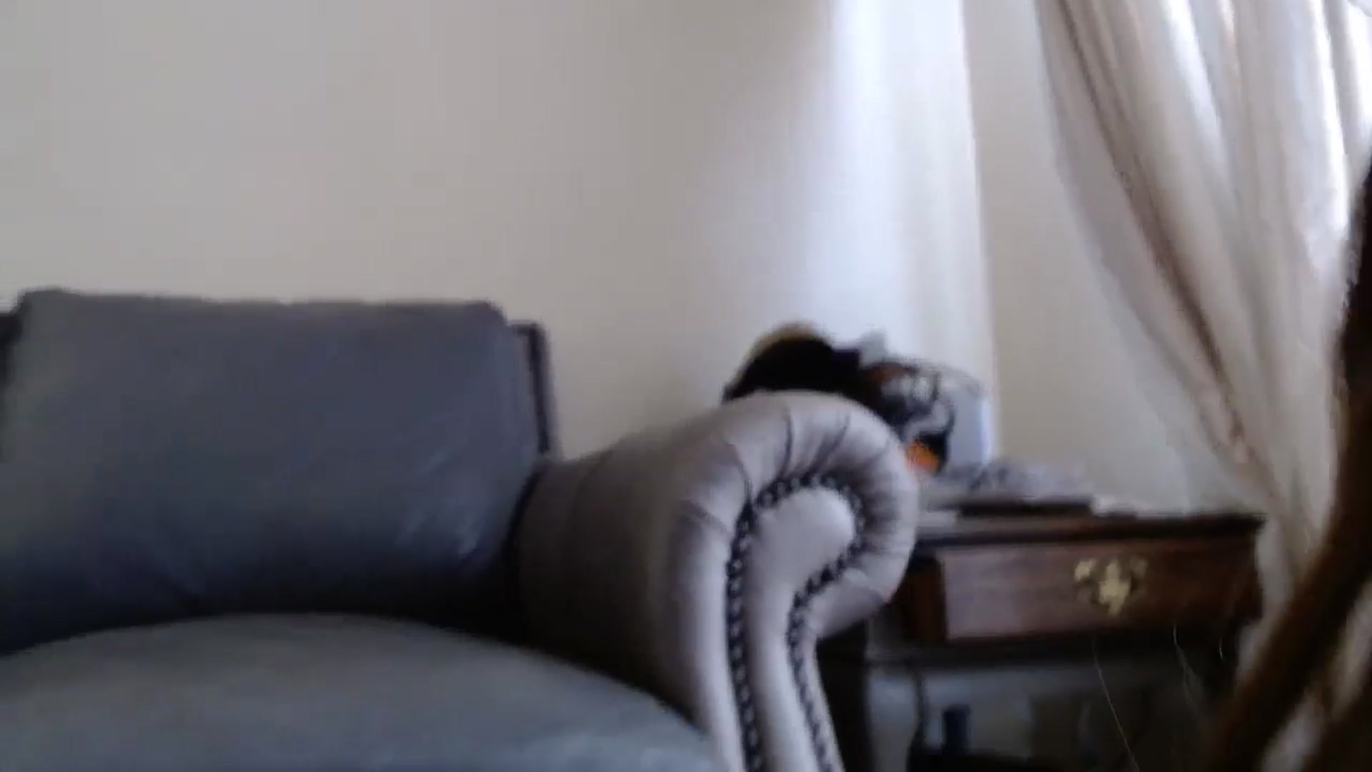 Gallery image thumbnail from PokeAPuss's myfreecams stream on, 12/05/2024, 15:03 image 18 of 20